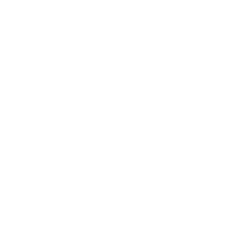 Finishers jersey icon