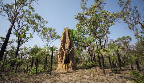 Termite Mound NT
